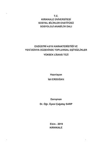 Yüksek Lisans Tezi