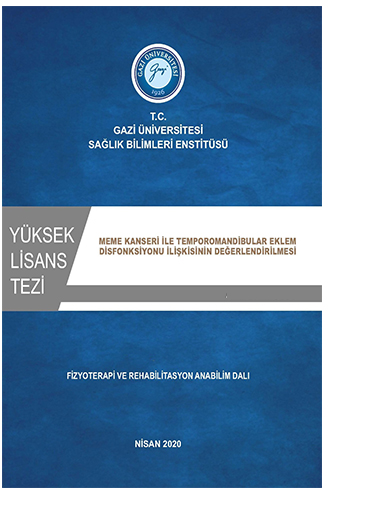 Yüksek Lisans Tezi